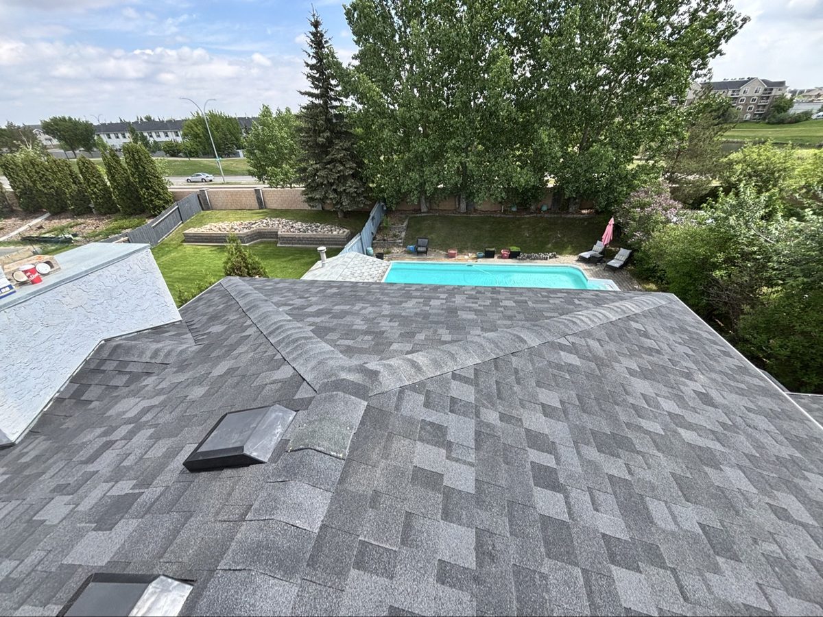 New shingle roof overlooking a backyard pool by No Stress Roofing
